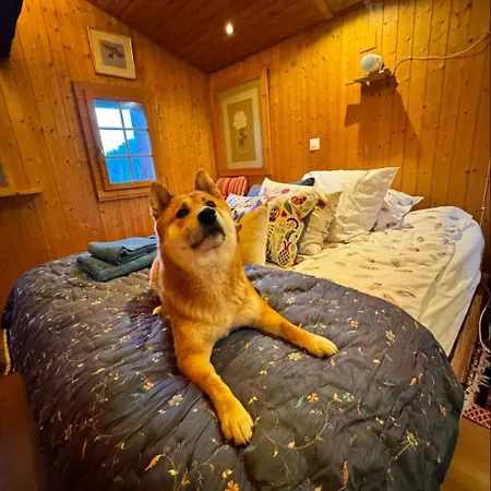 Un Nid Au Paradis - Traditionnel Avec Beaucoup De Cachet Domek alpejski *