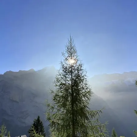 シャレー Un Nid Au Paradis - Traditionnel Avec Beaucoup De Cachet *