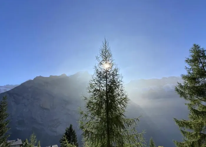 Chalet Un Nid Au Paradis - Traditionnel Avec Beaucoup De Cachet *